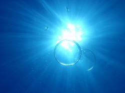 沖縄ダイビング