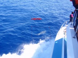 わかりにくいけど・・・