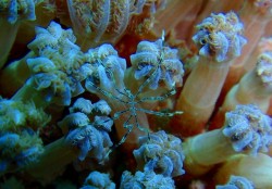 e382b3e38394e383bc-efbd9e-p8170273 e382b3e38394e383bc-efbd9e-p8170273