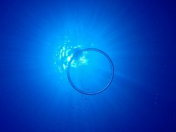 沖縄ダイビング