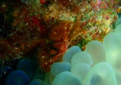 e382b3e38394e383bc-efbd9e-p9120013 e382b3e38394e383bc-efbd9e-p9120013