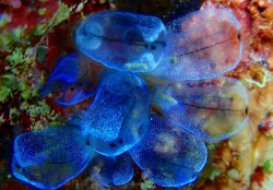 e382b3e38394e383bc-efbd9e-p9220023