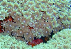 e382b3e38394e383bc-efbd9e-p9260026 e382b3e38394e383bc-efbd9e-p9260026