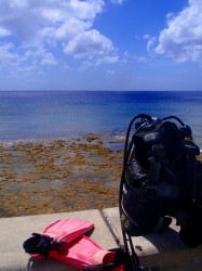 近海は穏やかです