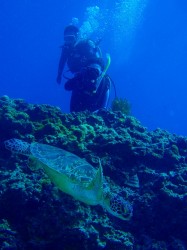 e382b3e38394e383bc-efbd9e-pa270330 e382b3e38394e383bc-efbd9e-pa270330