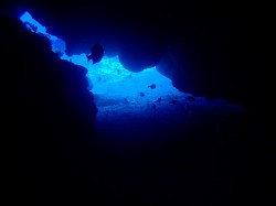 洞窟を通りぬけ（沖縄　ダイビング）
