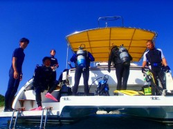 慶良間ダイビング 慶良間ダイビング