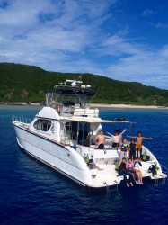 ２０１１年年越し企画