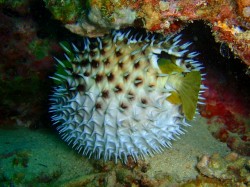 はさまっちゃいました