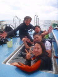 沖縄本島近海ダイビング