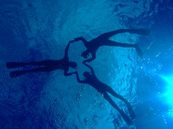 知志ではシュノーケリング