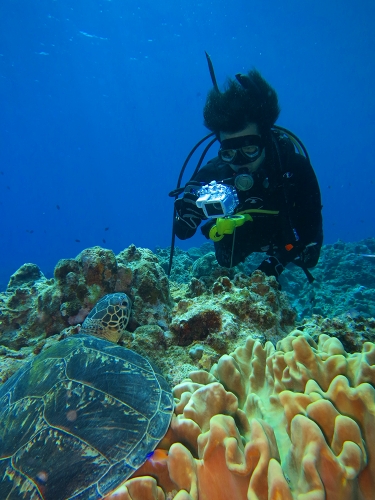 ケラマ ダイビング