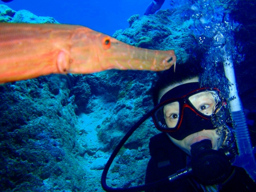 ヘラヤガラの登場にびっくり!!