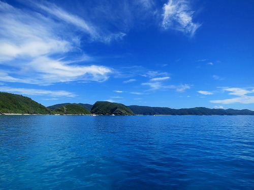 沖縄 ファンダイビング