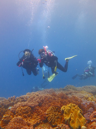 本島西海岸ダイビング