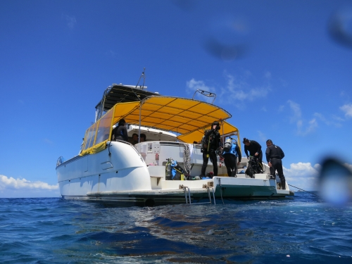 自社船ビーフラップ号で!