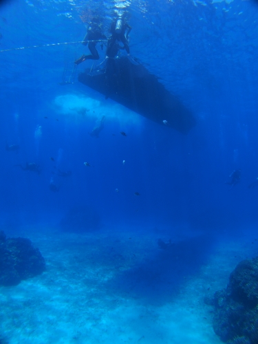 ケラマファンダイビング